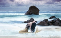 欧美女人动物交video